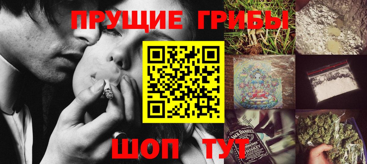 Галлюциногенные грибы Psilocybine cubensis Вязники