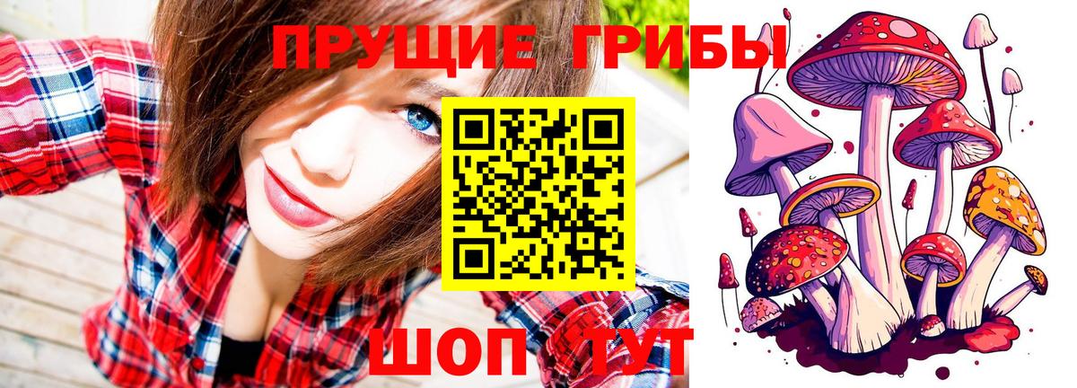 Галлюциногенные грибы Psilocybine cubensis  Вход с VPN  Вязники  Галлюциногенные грибы Magic Shrooms 